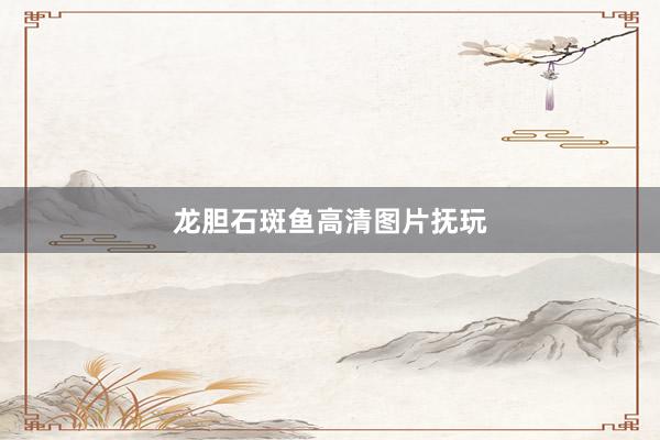 龙胆石斑鱼高清图片抚玩